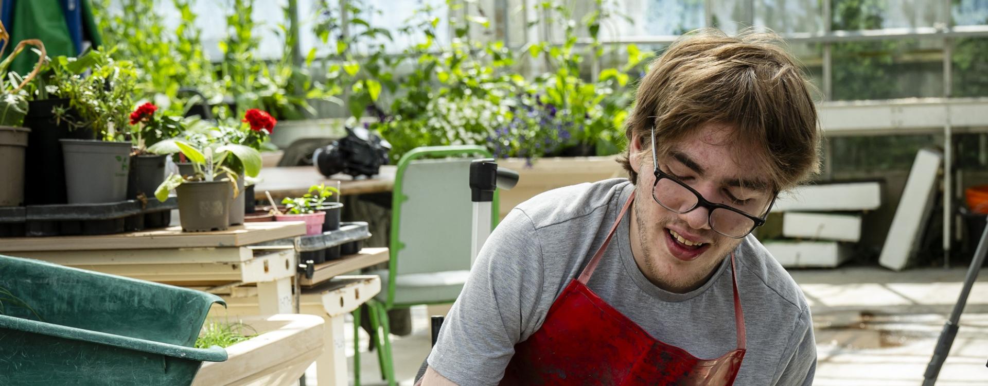 Treloar College student wearing glasses and a red apron tending to plants inside a bright greenhouse filled with greenery.