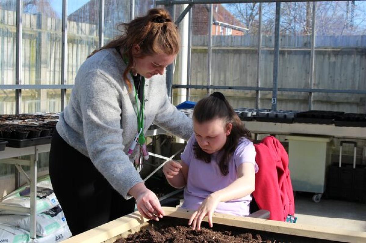A student assistant assists Treloar's student as they plant seeds in a raised garden bed inside a greenhouse.
