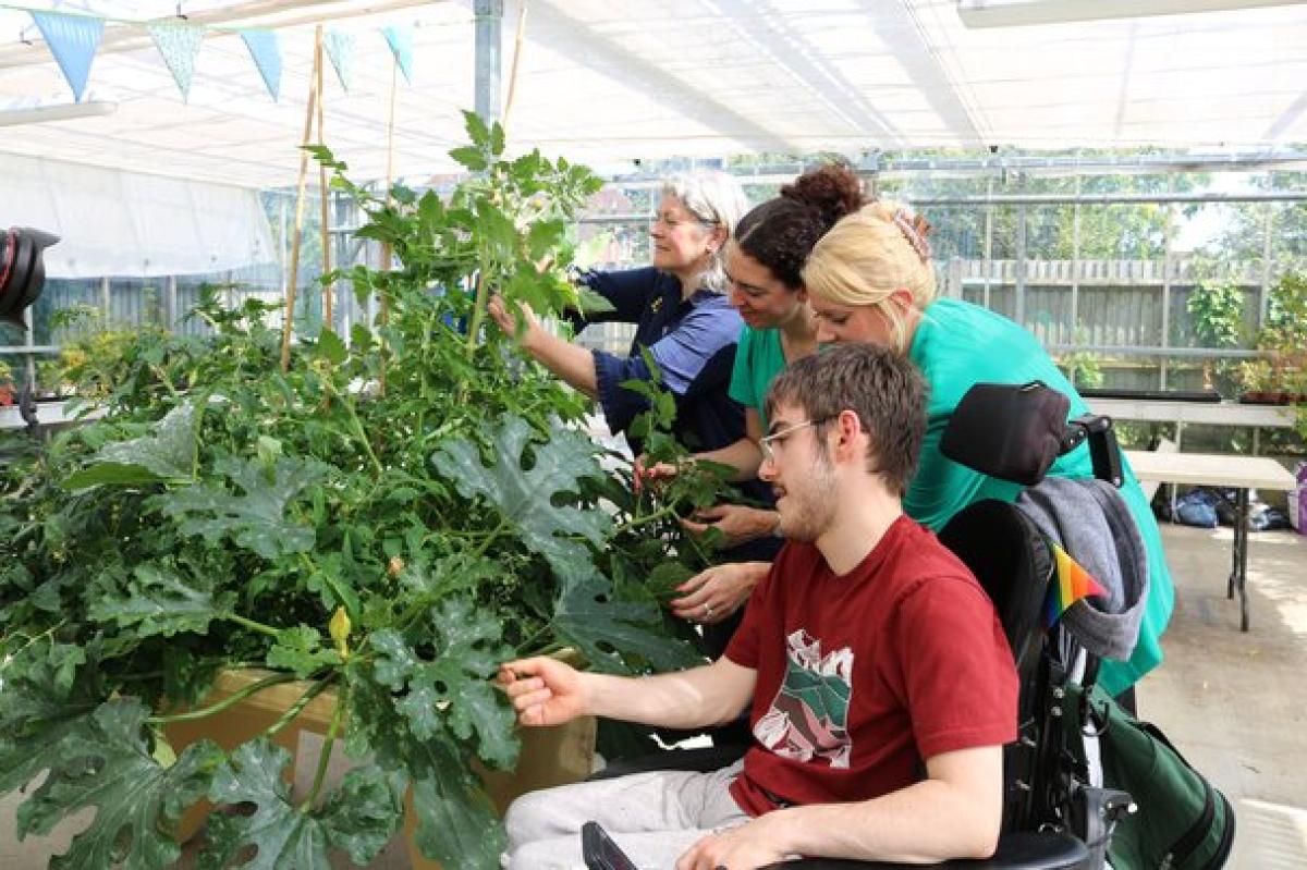 A group of people, including Treloar College student, tending to large green plants inside a greenhouse with natural light.