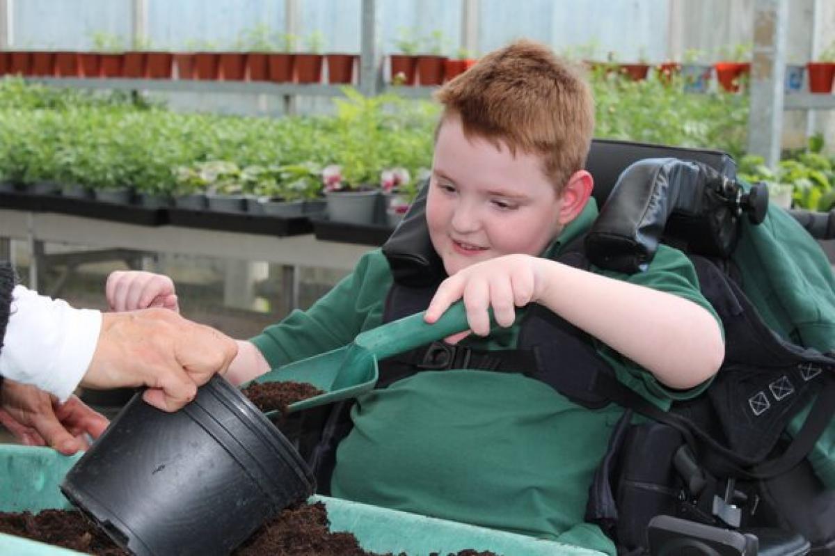 Treloar School student filling up a pot with soil with assistance in a greenhouse filled with potted plants. He is very focused on the task.