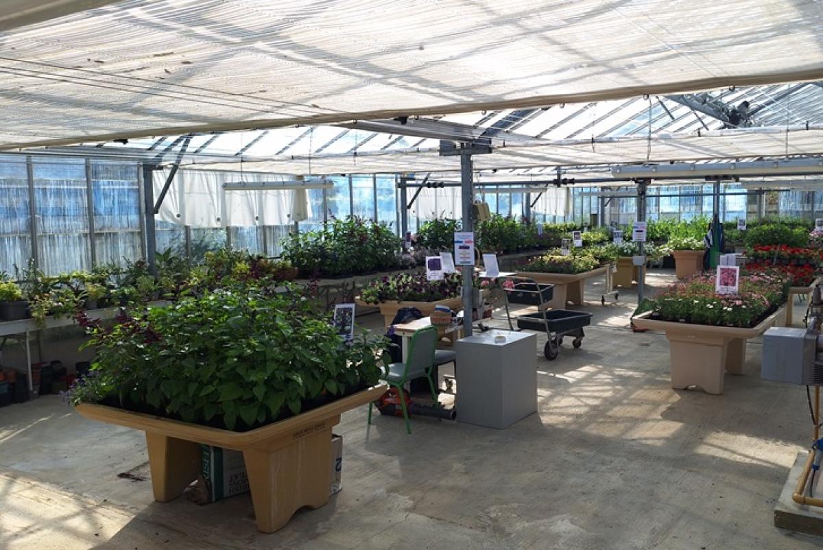 Spacious greenhouse interior filled with various potted plants and flowers arranged on tables under a translucent roof.
