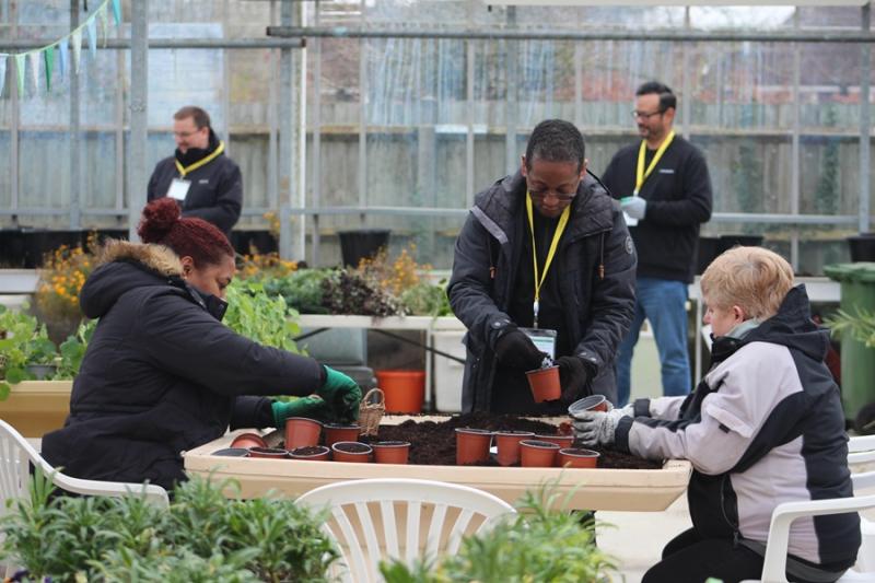 A group of volunteers gathered in Treloar's greenhouse, focused on the task of planting.