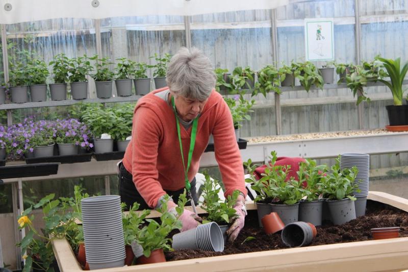 A fried of Treloar's potting plants in the greenhouse.