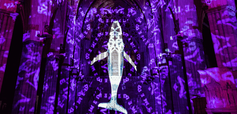 Luxmuralis projection of whale on purple background.