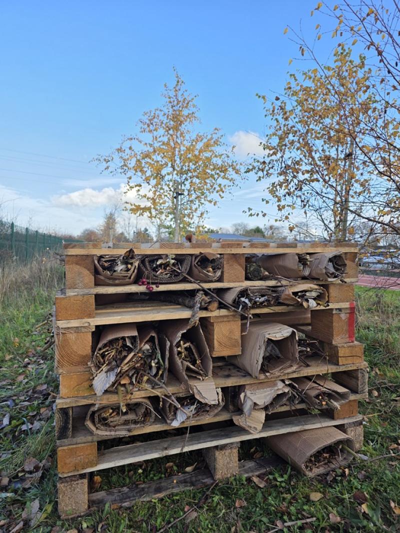 A bug hotel made out of stacked wooden pallets filled with rolled cardboard and dried leaves outdoors on grassy ground under a clear blue sky.