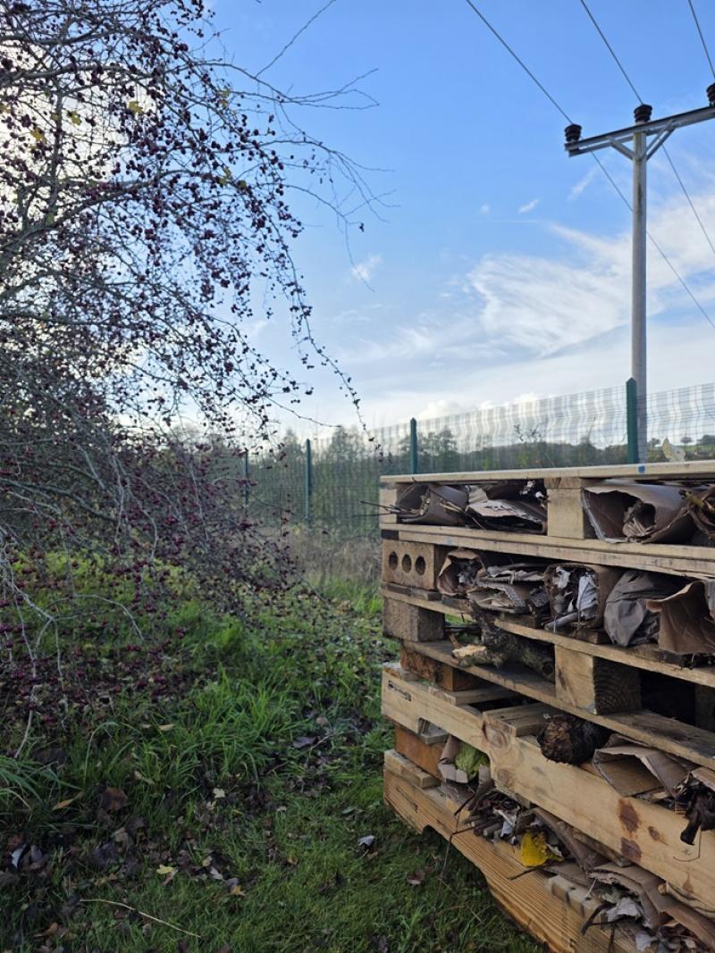 A bug hotel made out of stacked wooden pallets filled with dried leaves and debris beside a grassy area under a clear blue sky with power lines overhead.