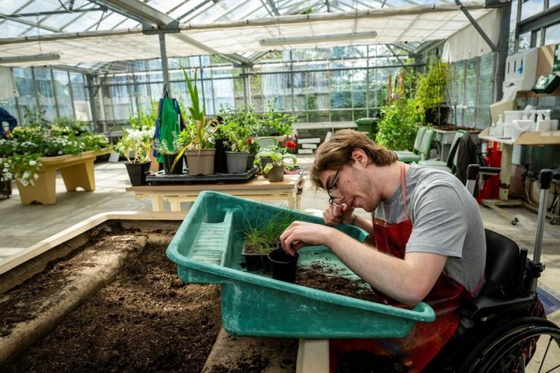 Treloar's student planting seedlings in a greenhouse filled with various plants and gardening tools. He looks very focused on the task.