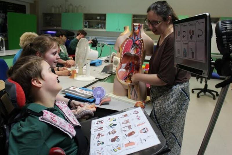 Teacher explaining human anatomy using a torso model to show students in a classroom setting. The student is using an AAC device and board maker symbols. 