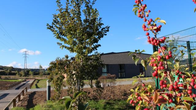 Hope Court Key worker accommodation at Treloar's Holybourne campus