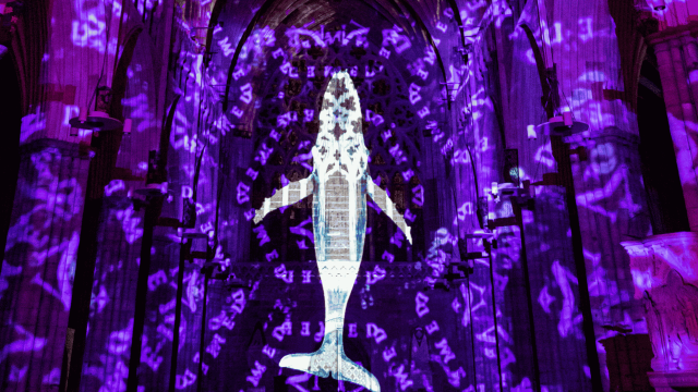 Luxmuralis projection of whale on purple background.