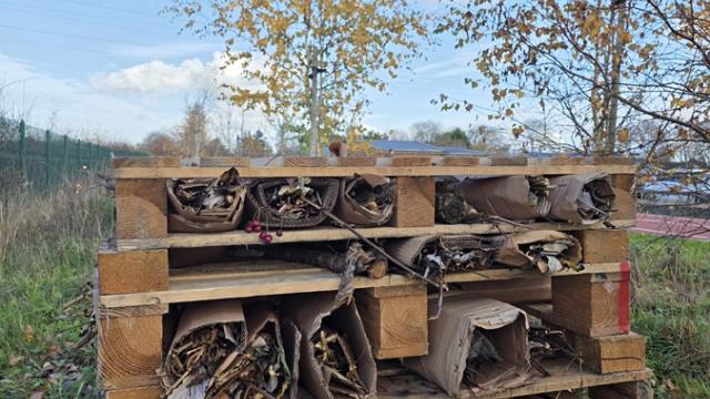 A bug hotel made out of stacked wooden pallets filled with rolled cardboard and dried leaves outdoors on grassy ground under a clear blue sky.