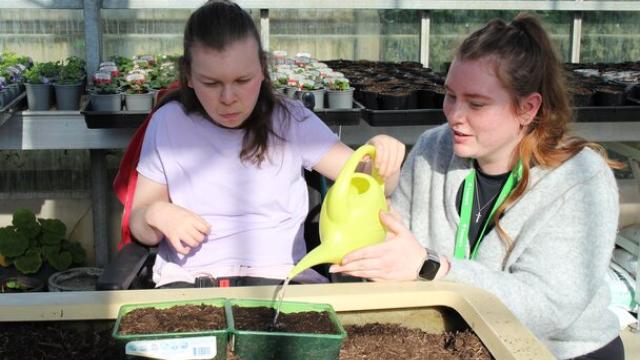 Treloar's student in a greenhouse watering seedlings in small green trays filled with soil on a gardening table. Her support assistant is helping her hold the yellow watering can.