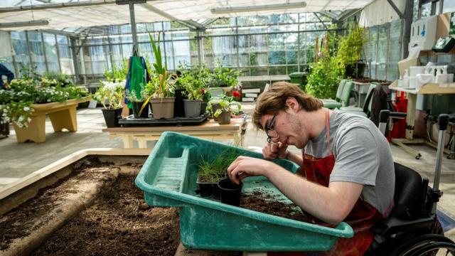 Treloar's student planting seedlings in a greenhouse filled with various plants and gardening tools. He looks very focused on the task.