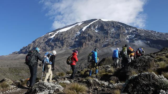 Team on Kilimanjaro