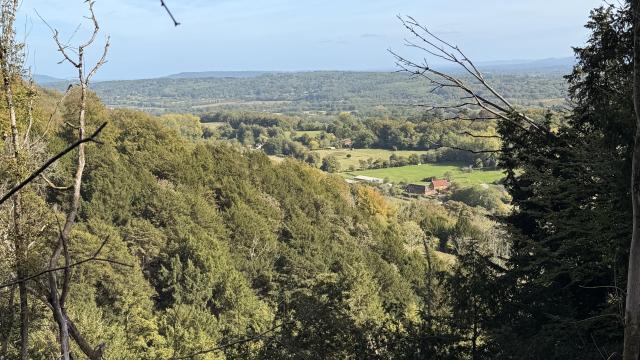 View of the Hampshire Countryside