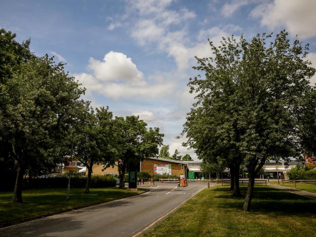 Driveway to Treloar's; the building in the background, a blue sky with white fluffy clouds, green lawn on both side of the drive with green trees.