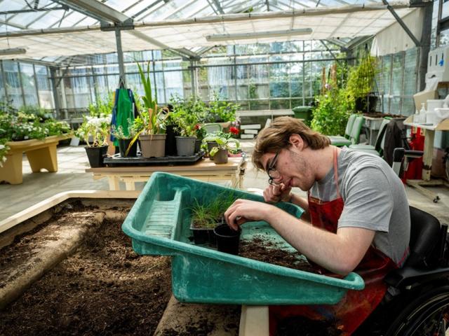 Treloar's student planting seedlings in a greenhouse filled with various plants and gardening tools. He looks very focused on the task.