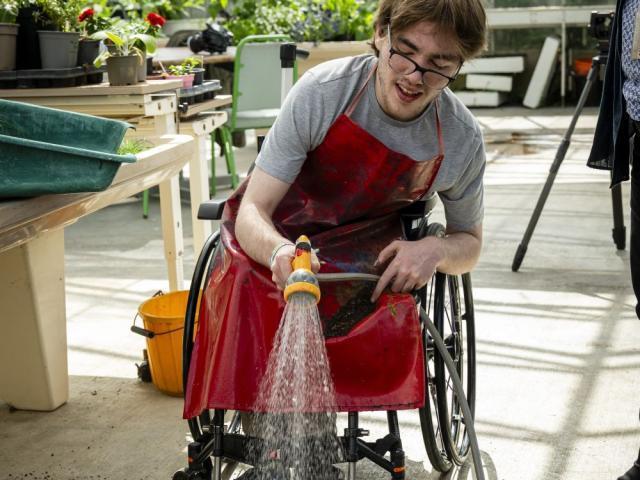College student seated in wheelchair, using a hose pipe to water plants in a greenhouse