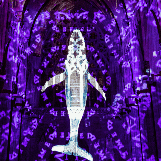 Luxmuralis projection of whale on purple background.