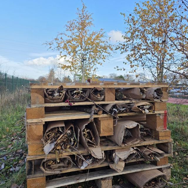 A bug hotel made out of stacked wooden pallets filled with rolled cardboard and dried leaves outdoors on grassy ground under a clear blue sky.