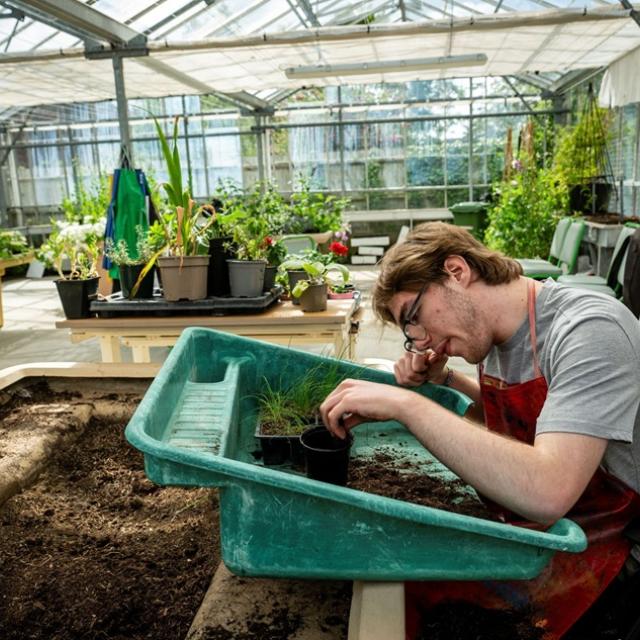 Treloar's student planting seedlings in a greenhouse filled with various plants and gardening tools. He looks very focused on the task.