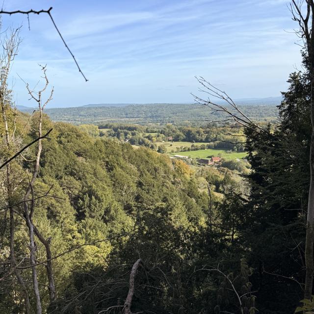 View of the Hampshire Countryside