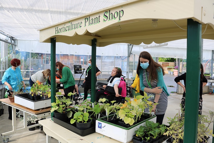 Plant sale in Outdoor Learning Centre