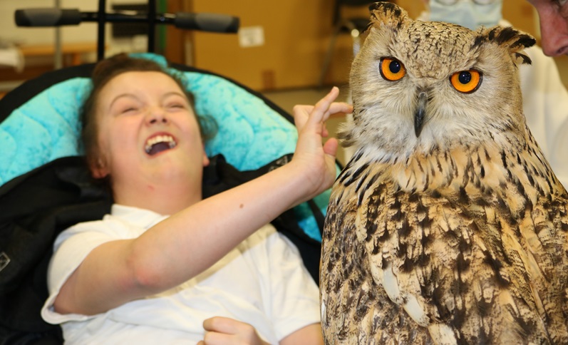Science Week at Treloar's: a student touching a bird of prey ( a big owl looking at the camera with its orange eyes)