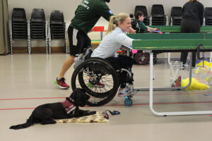 Suzanna Hext playing table cricket; her dog Kimmy by her side, on the floor.